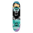 SKATE COMPLETO CARTEL VENOM 8.0"