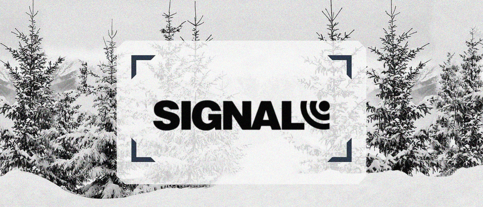 Signal Snowboards